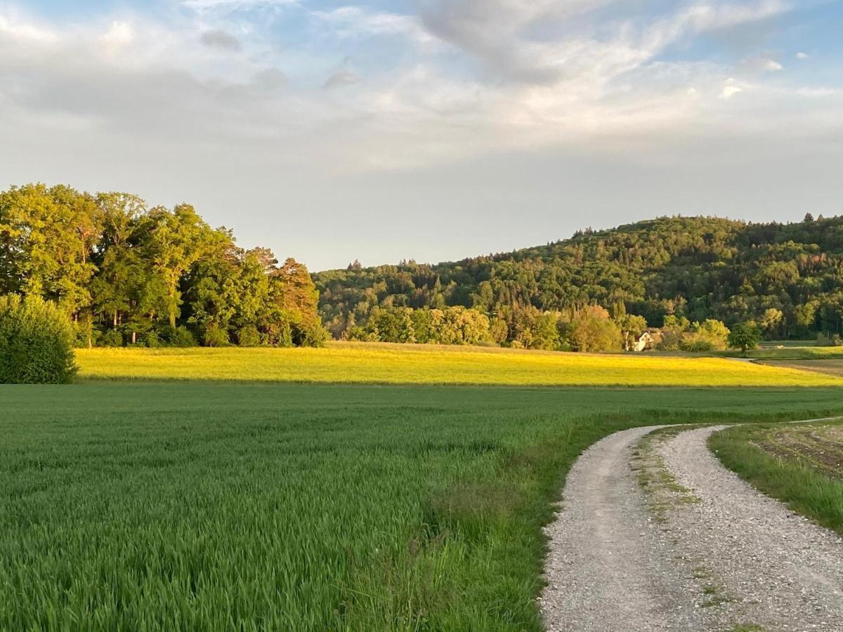 Buesingen Am Hochrhein Radfahren, Wandern, Natur Geniessen 아파트 외부 사진