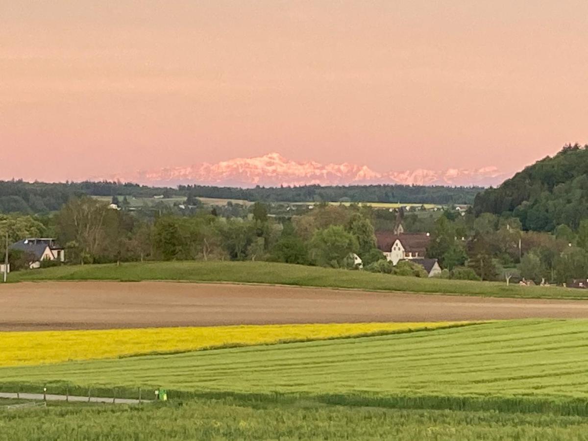 Buesingen Am Hochrhein Radfahren, Wandern, Natur Geniessen 아파트 외부 사진