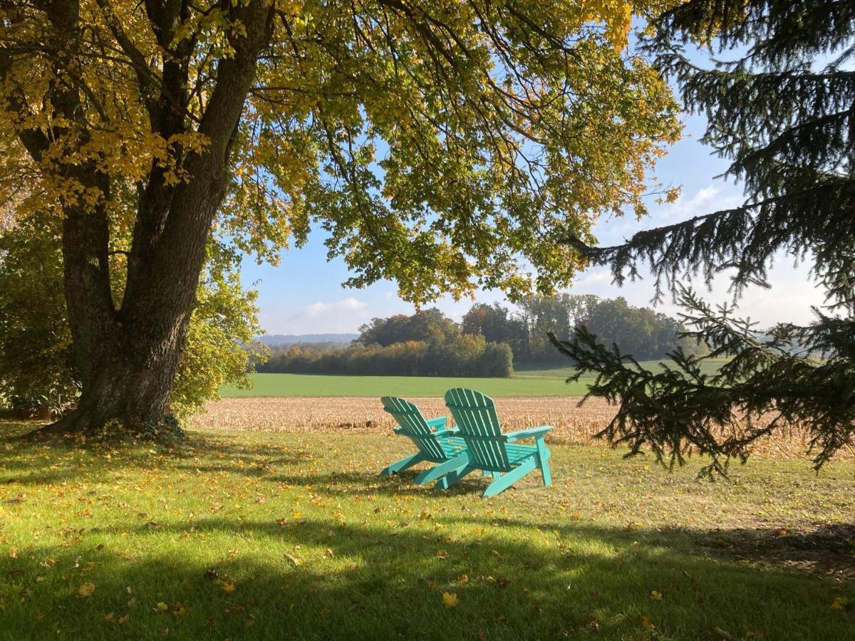 Buesingen Am Hochrhein Radfahren, Wandern, Natur Geniessen 아파트 외부 사진